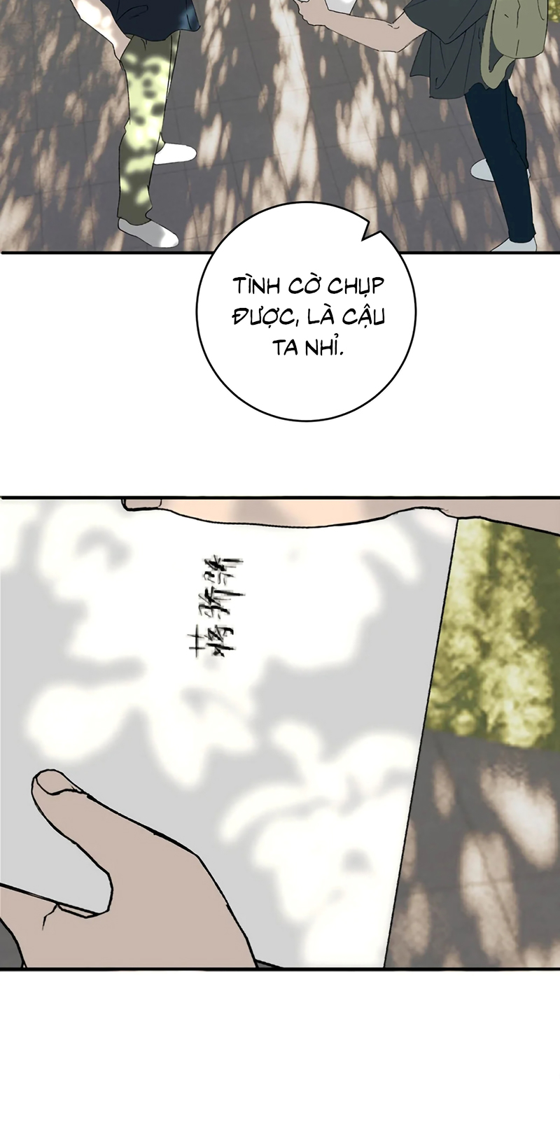 Mỗi Ngày Đều Muốn Làm Bệnh Kiều Vương Tử Xấu hổ Muốn Độn Thổ Chap 40 - Trang 2