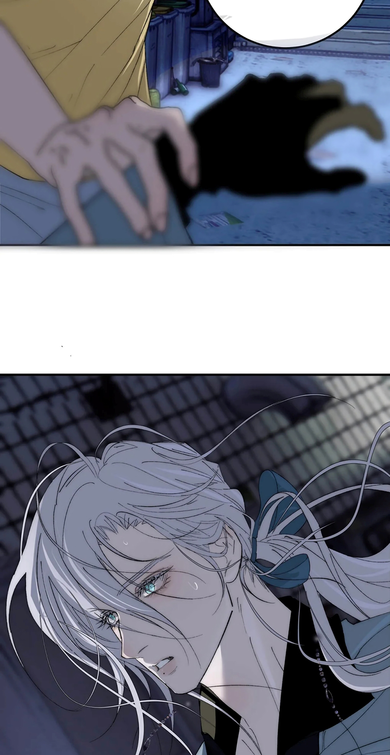 Mỗi Ngày Đều Muốn Làm Bệnh Kiều Vương Tử Xấu hổ Muốn Độn Thổ Chap 40 - Trang 2