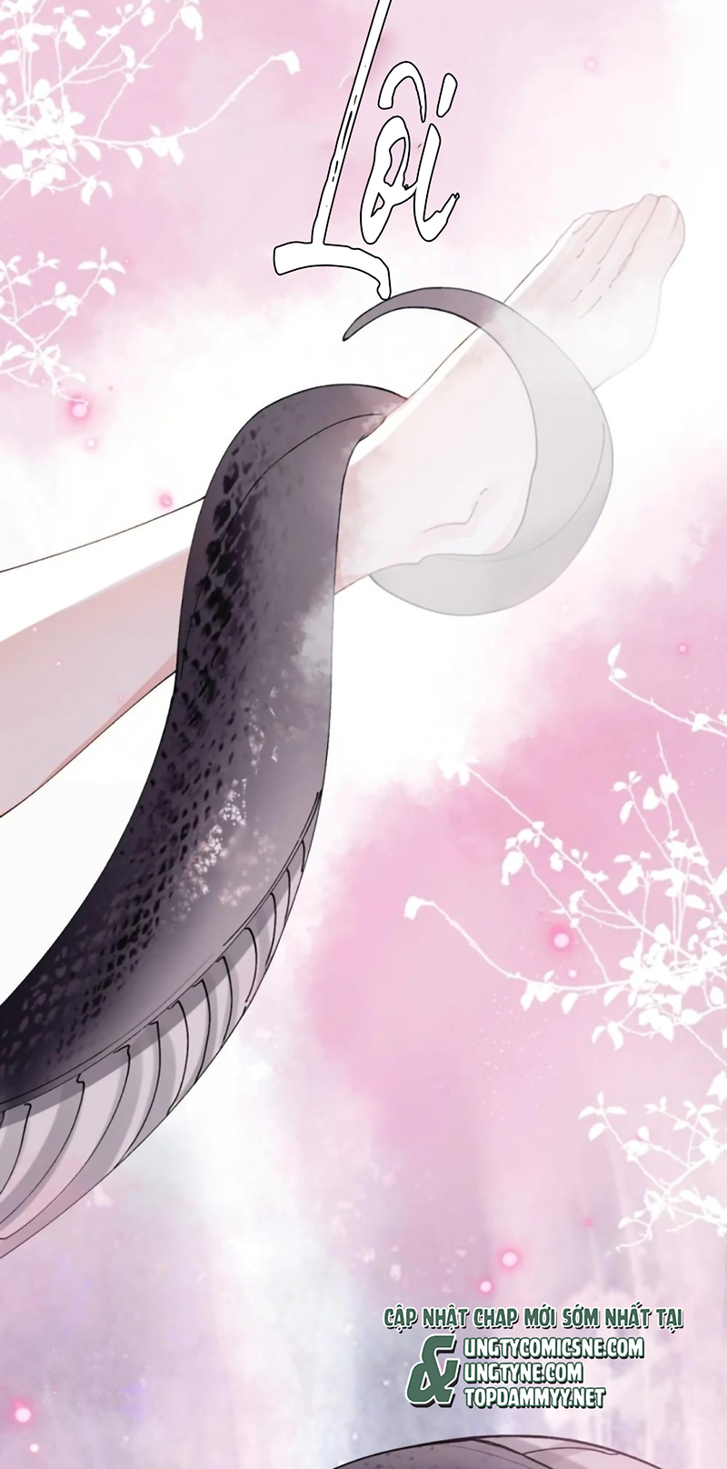 Giả Làm Phu Thê Với Xà Tôn Chap 13 - Trang 2