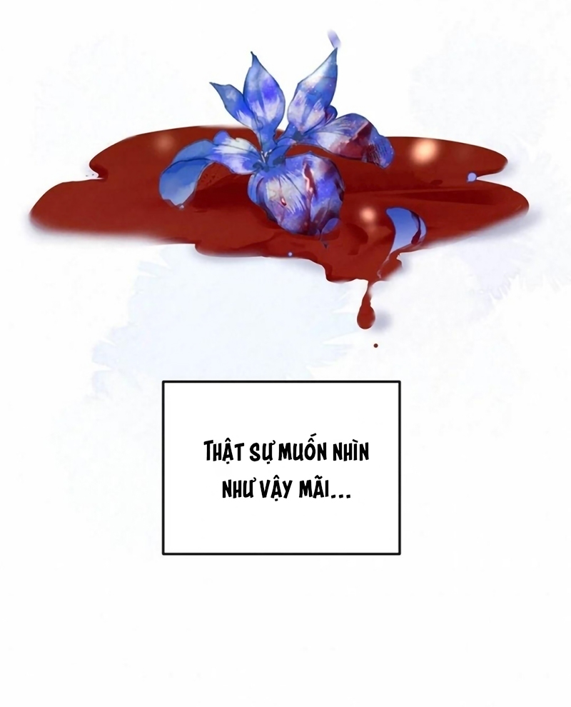 Hôm Nay Điện Hạ Bị Ám Sát Rồi À? Chap 25 - Trang 3