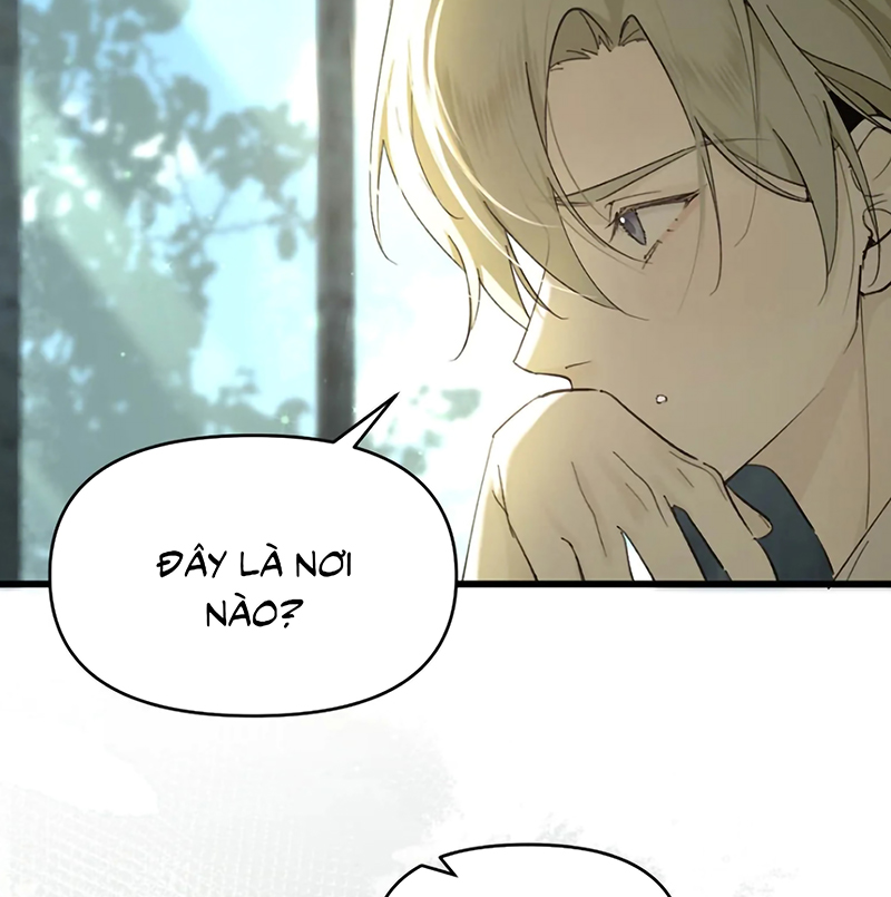 Xin Hãy Nuôi Dưỡng Mị Ma Này Chap 7 - Trang 2