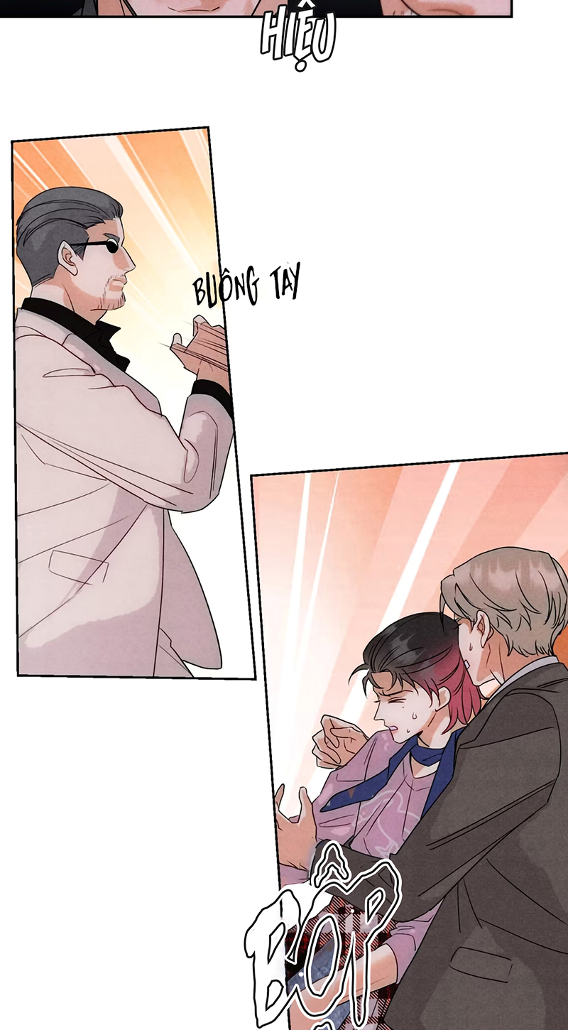 Xuyên Thành Con Ngỗng Vàng Của Đại Lão Alpha Chap 25 - Trang 2