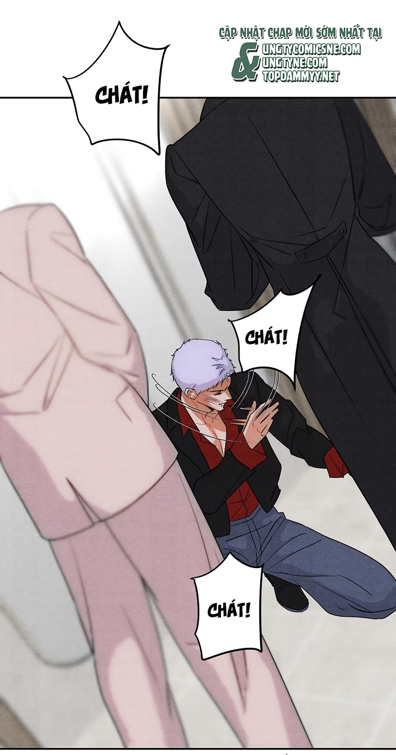 Xuyên Thành Con Ngỗng Vàng Của Đại Lão Alpha Chap 25 - Trang 2