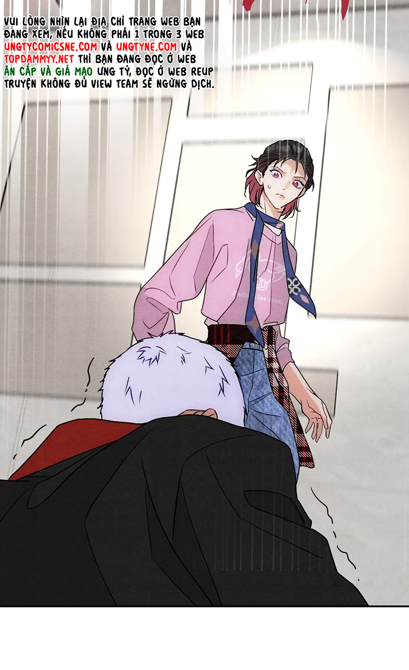 Xuyên Thành Con Ngỗng Vàng Của Đại Lão Alpha Chap 25 - Trang 2