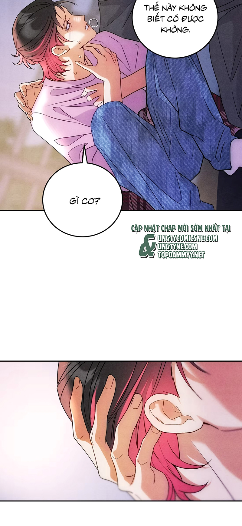 Xuyên Thành Con Ngỗng Vàng Của Đại Lão Alpha Chap 25 - Trang 2