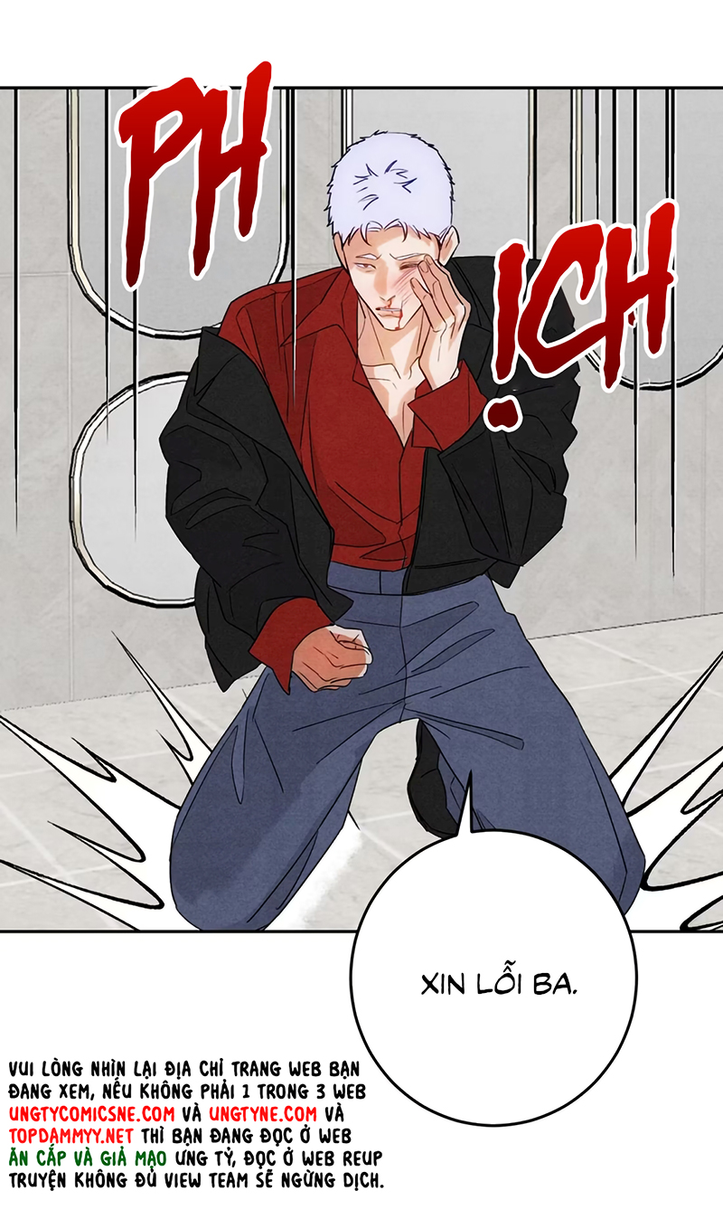 Xuyên Thành Con Ngỗng Vàng Của Đại Lão Alpha Chap 25 - Trang 2