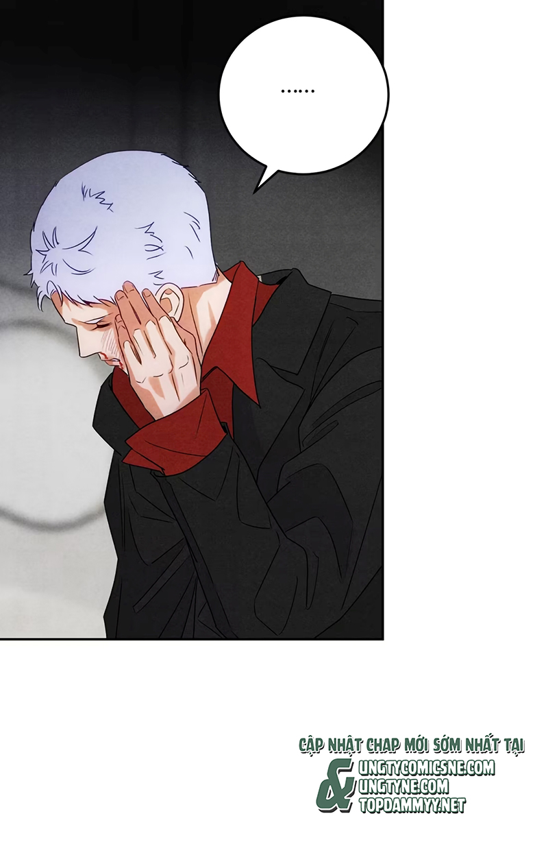 Xuyên Thành Con Ngỗng Vàng Của Đại Lão Alpha Chap 25 - Trang 2