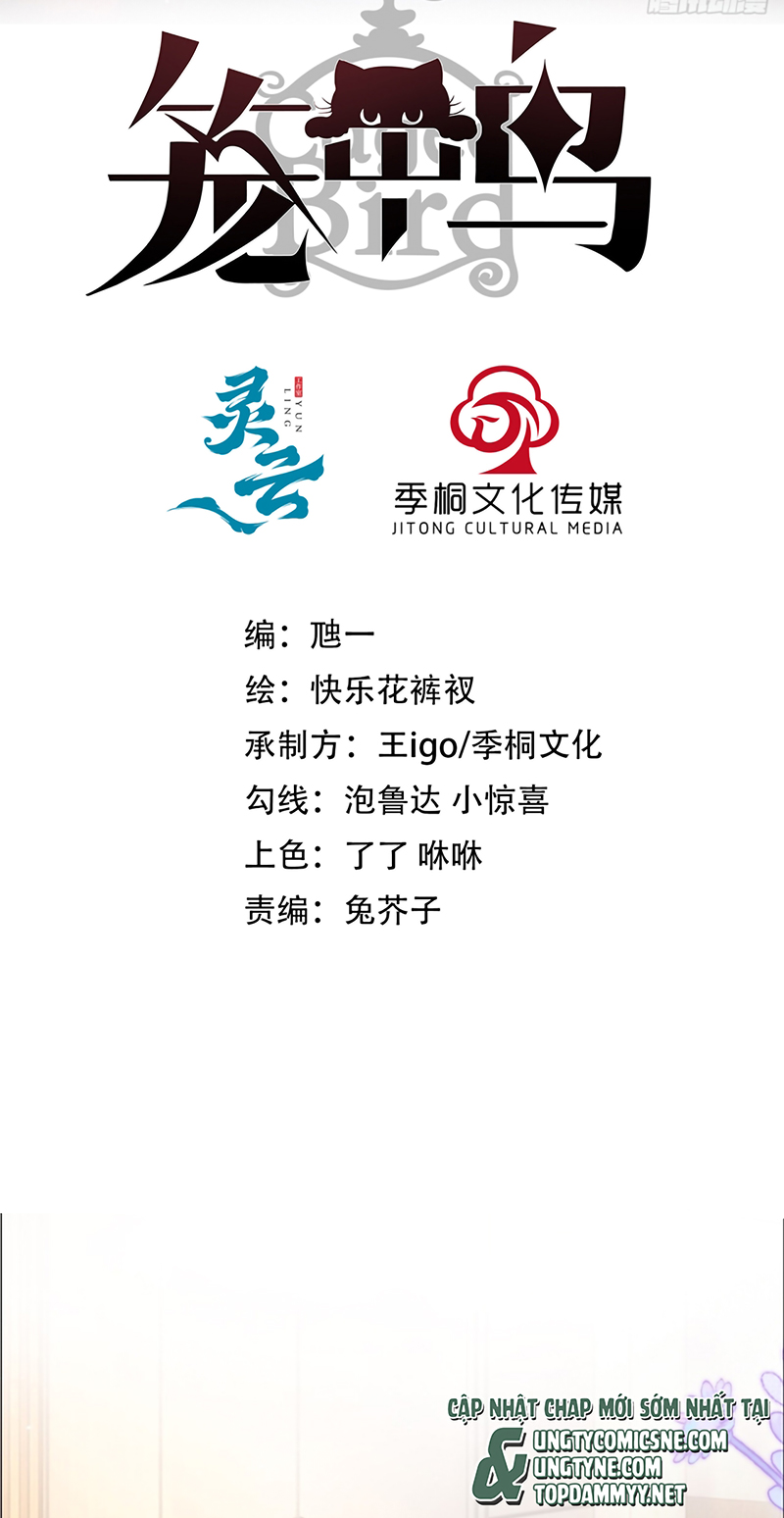 Chim Trong Lồng Chap 9 - Trang 2