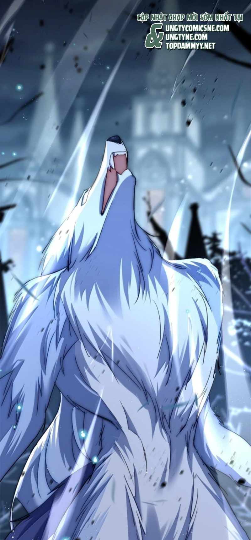 Lồng Tuyết Chap 68 - Next 