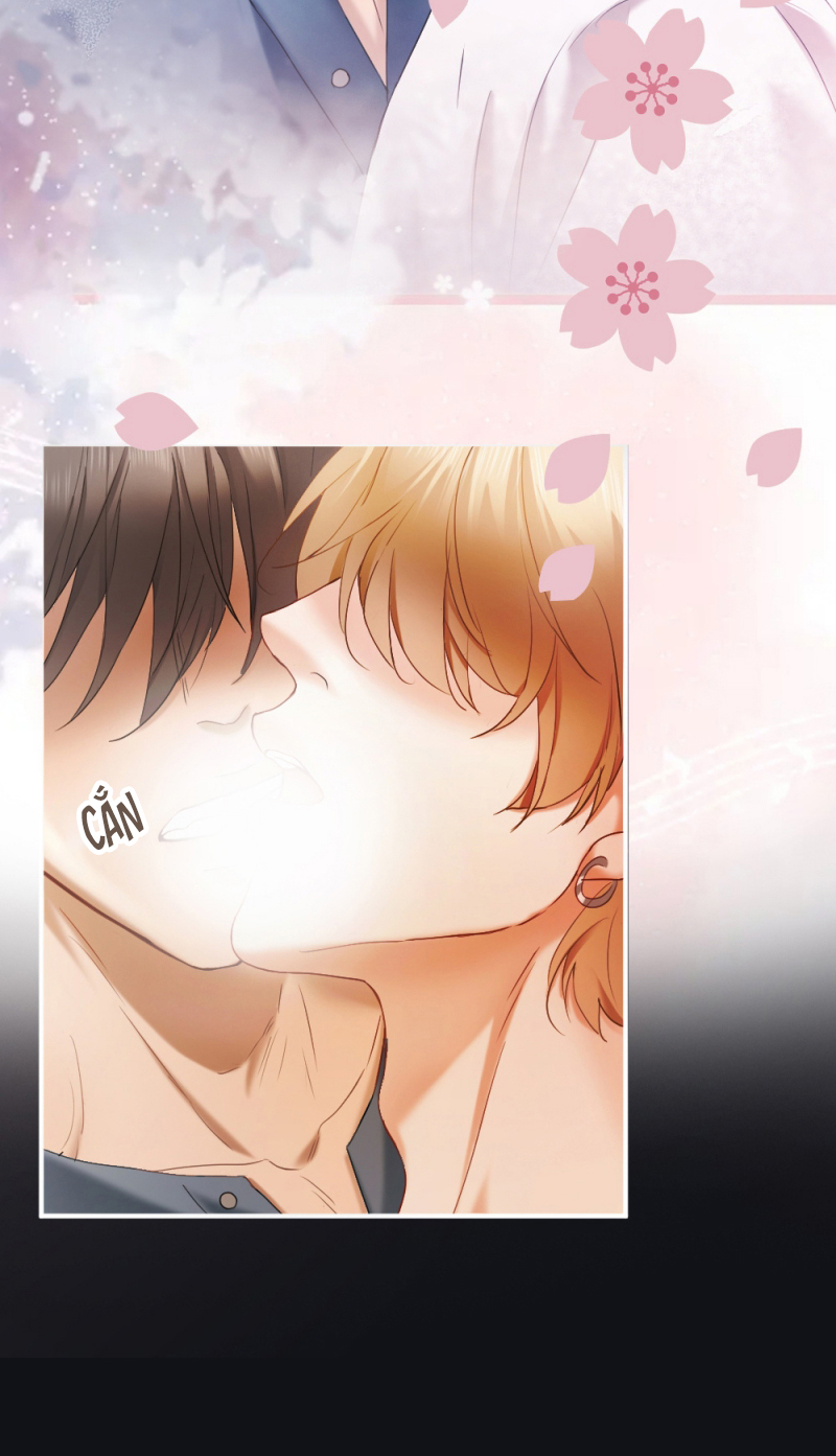 Tiểu Thiếu Gia Dựa Vào Mỹ Mạo Hoành Hành Toàn Hệ Thống Chap 102 - Trang 2