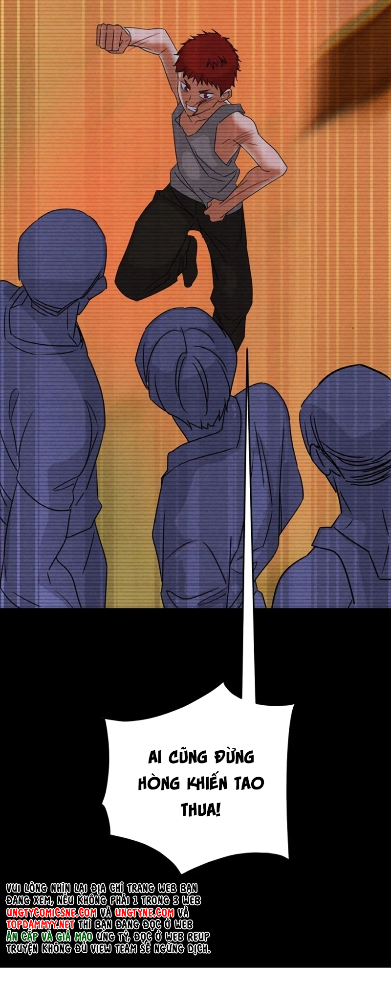 Xuyên Thành Con Ngỗng Vàng Của Đại Lão Alpha Chap 26 - Trang 2