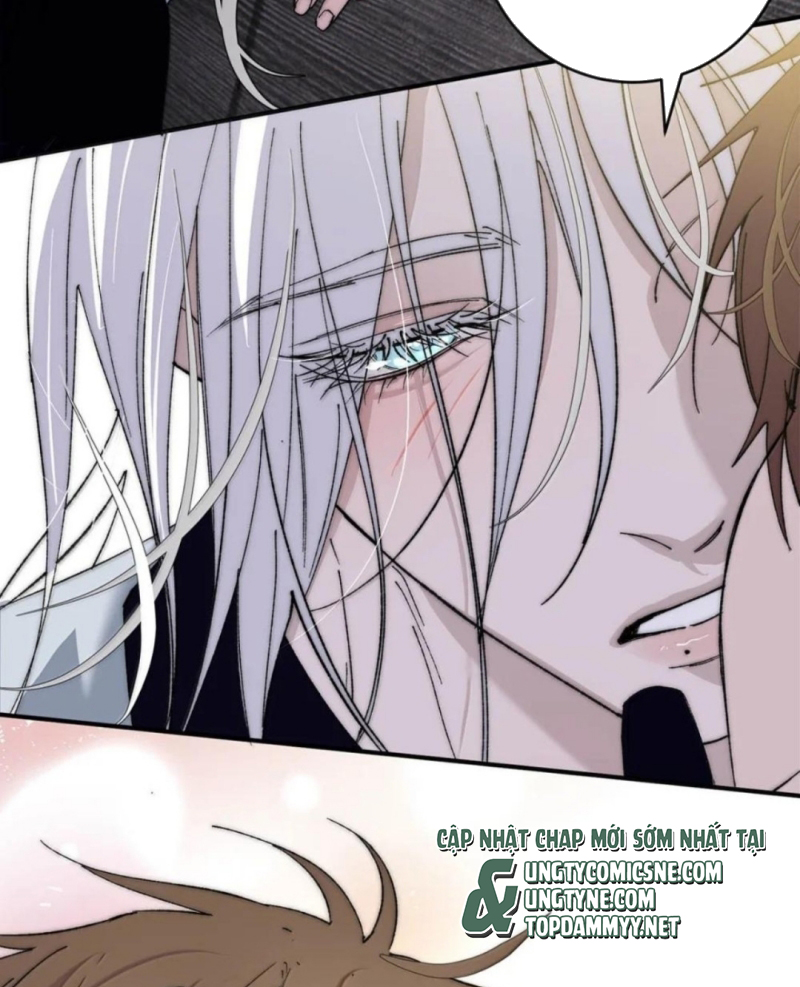 Mỗi Ngày Đều Muốn Làm Bệnh Kiều Vương Tử Xấu hổ Muốn Độn Thổ Chap 41 - Next 