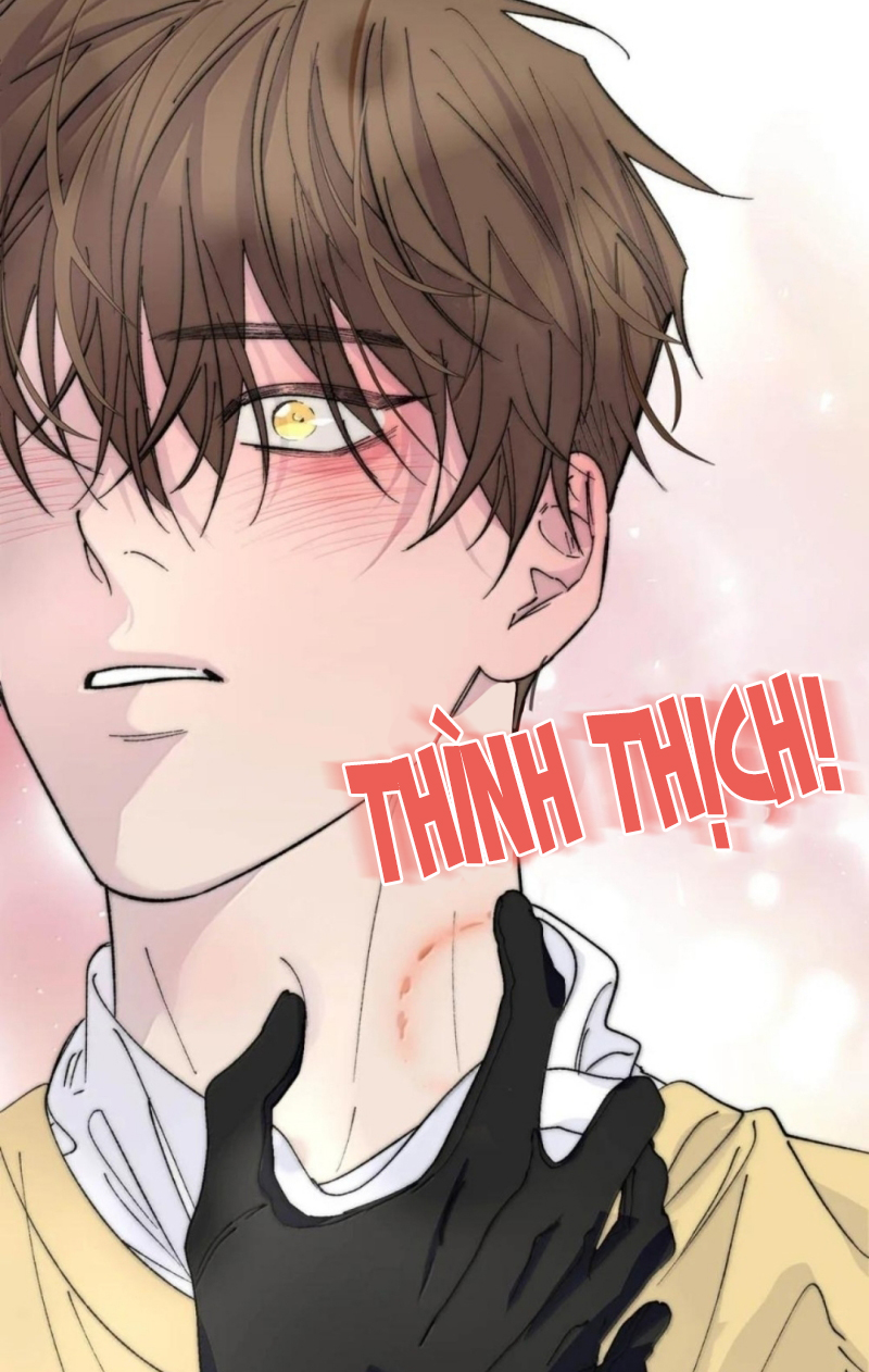 Mỗi Ngày Đều Muốn Làm Bệnh Kiều Vương Tử Xấu hổ Muốn Độn Thổ Chap 41 - Next 