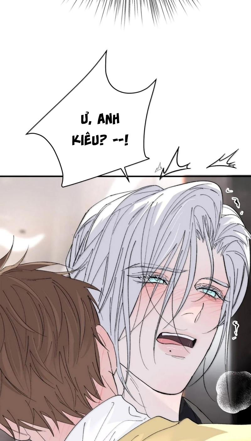 Mỗi Ngày Đều Muốn Làm Bệnh Kiều Vương Tử Xấu hổ Muốn Độn Thổ Chap 41 - Next 