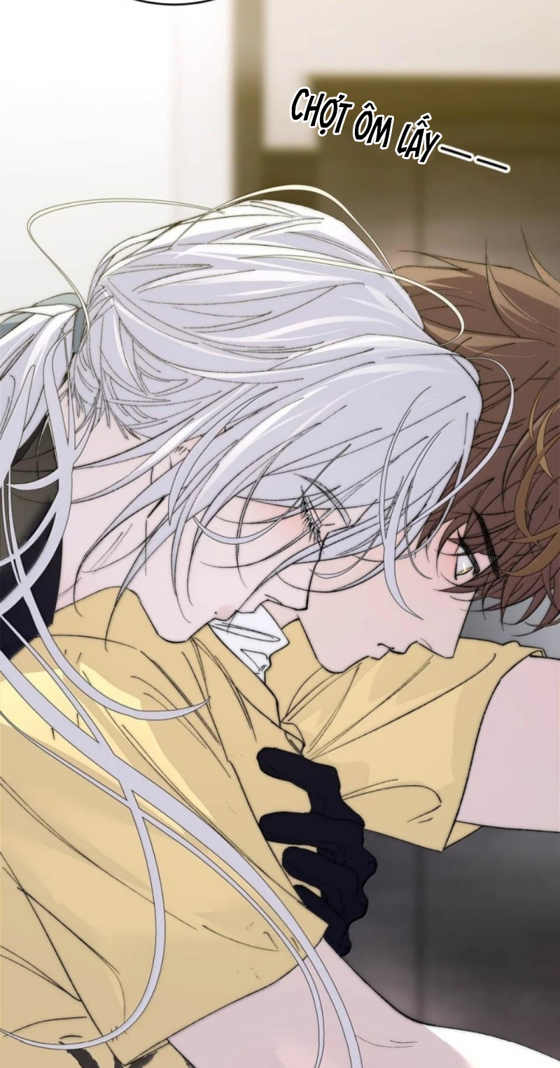 Mỗi Ngày Đều Muốn Làm Bệnh Kiều Vương Tử Xấu hổ Muốn Độn Thổ Chap 41 - Next 